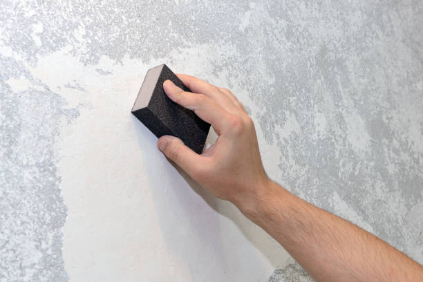 Best Mold Odor Removal Services  in Tyler, MN