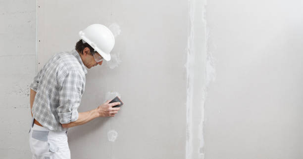 Best Forensic Mold Investigation  in Tyler, MN