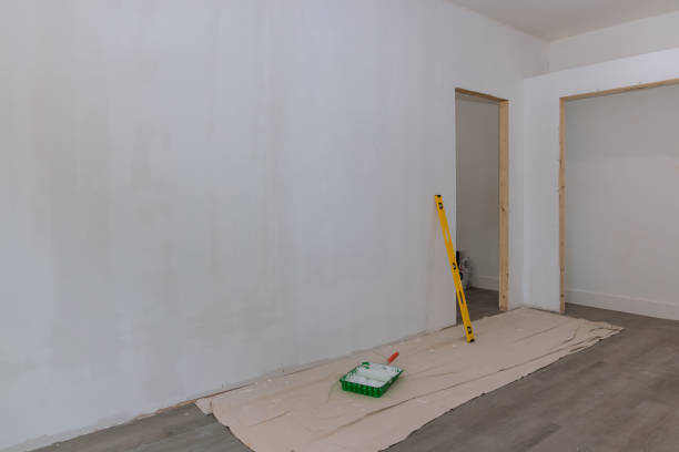 Best Basement Mold Removal  in Tyler, MN