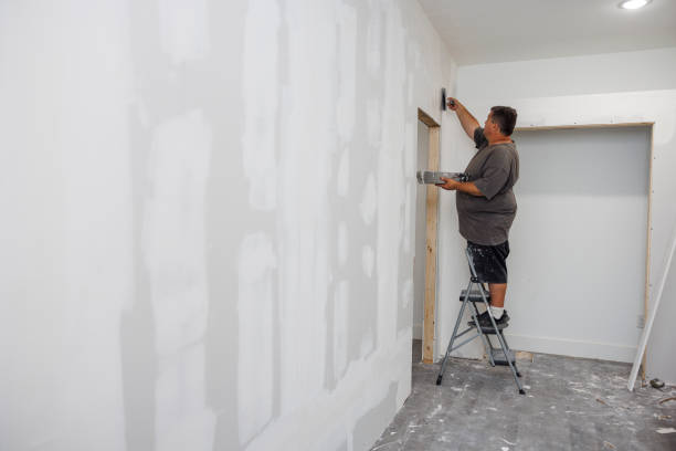 Best Crawl Space Mold Remediation  in Tyler, MN