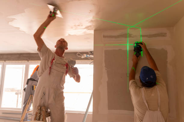  Tyler, MN Mold Removal Pros