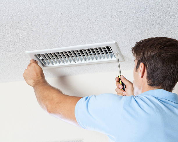 Best Real Estate Mold Inspection  in Tyler, MN